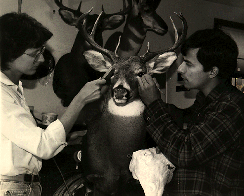 Some taxidermists work in teams. This is okay as long as both are highly skilled in their craft.