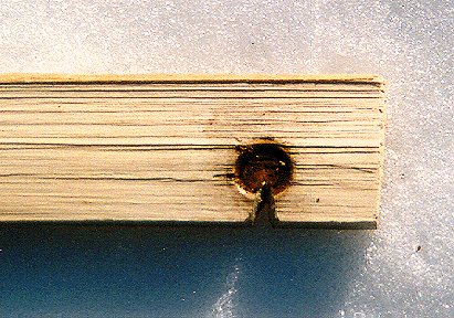 The hearth board with a socket burned in and notched to catch the ember created by friction.<br>(Photo by Michael Kolsun.)